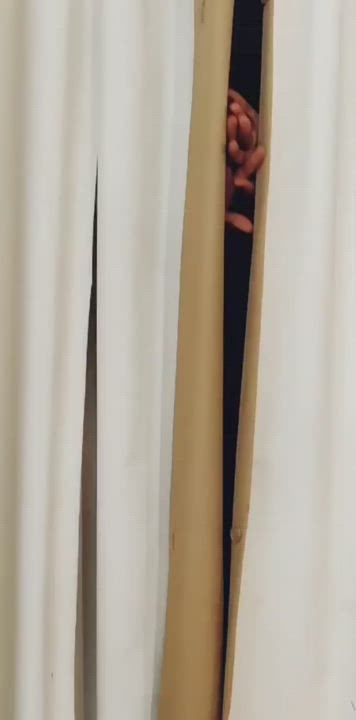 Ass Booty Indian gif