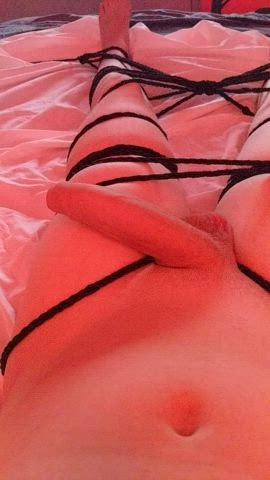 My cock is so excited from me being tied up that it can't stop twitching 😖