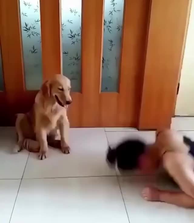 Best friend ever