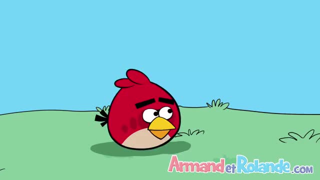 ANGRY BIRD *non censurée*