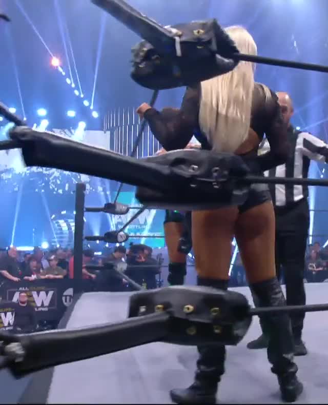 Penelope4