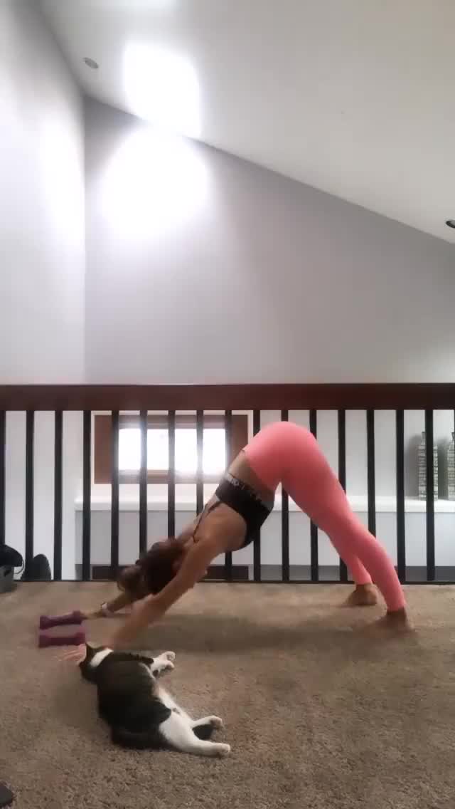 Dancing gif