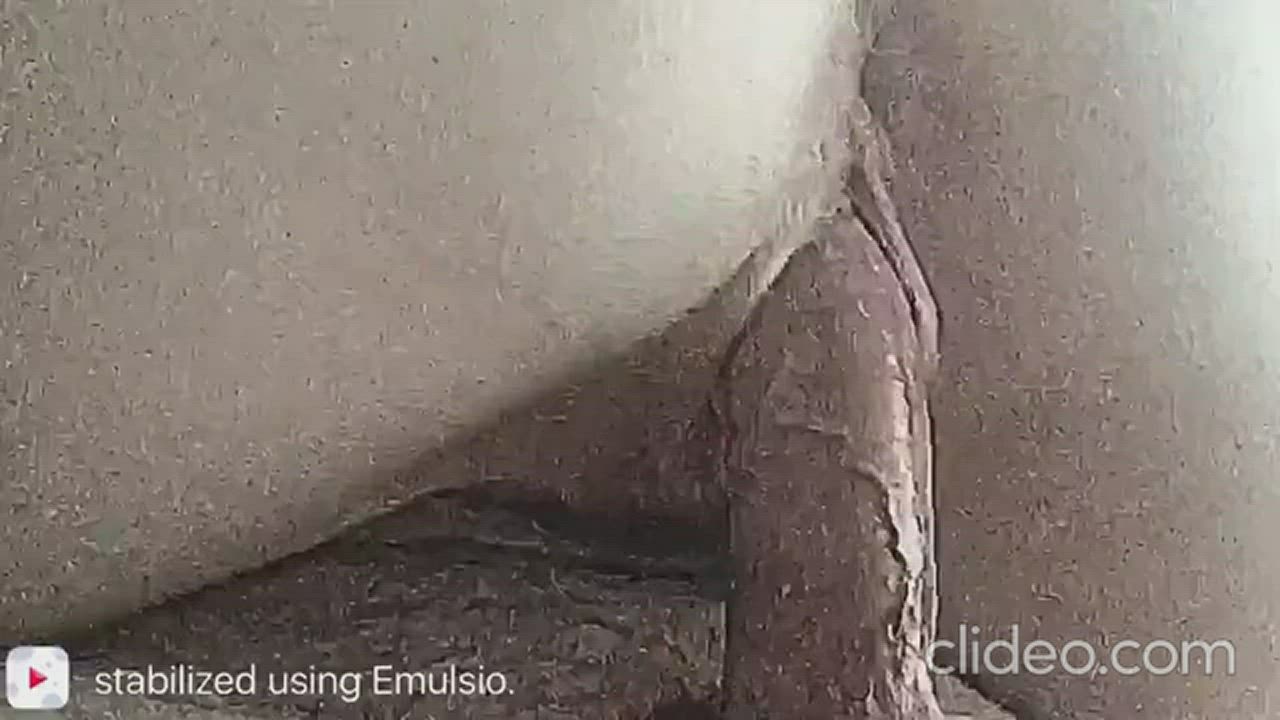 Breeding Close Up Creampie gif