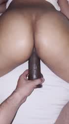 Ass Dildo Doggystyle Ebony gif