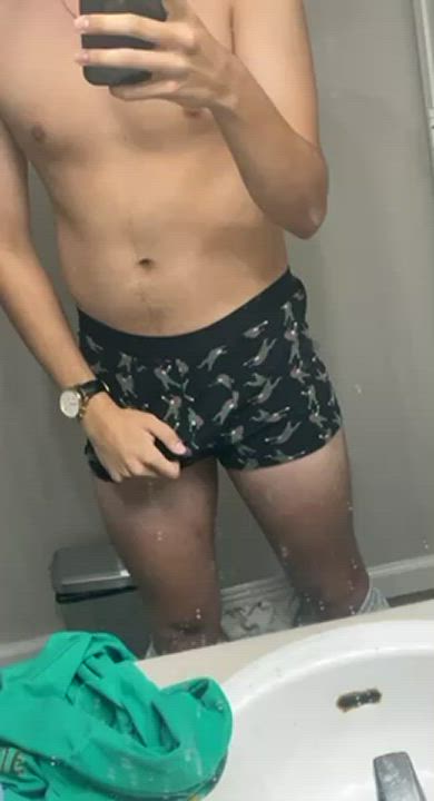Young bull looking. Dm