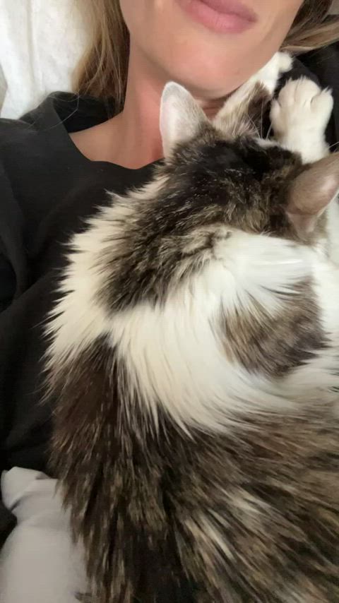 I hope you got your cuddles this morning 😌