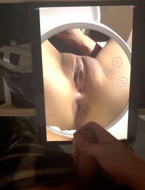 tribbing tribute r/tributeme gif