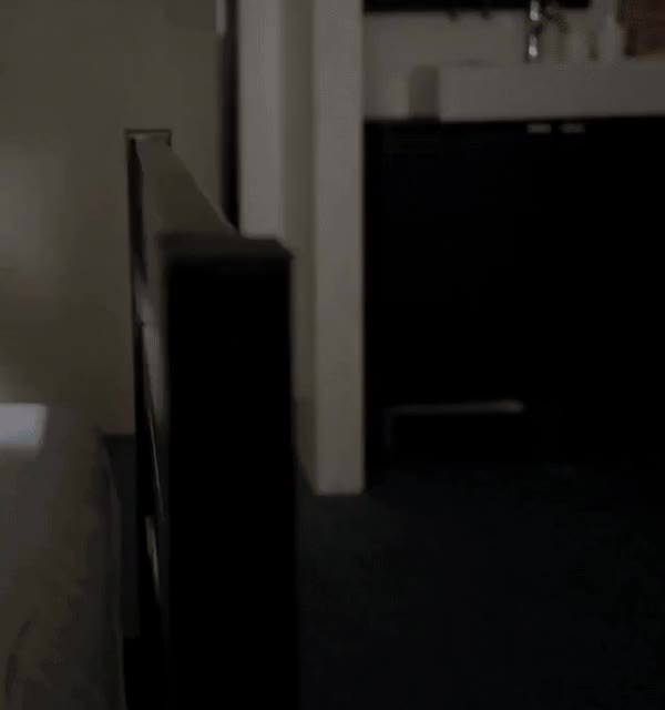 ezgif.com-gif-maker