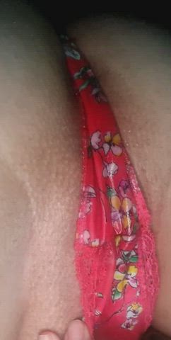 Panties Pussy Pussy Lips gif