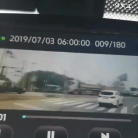 낙상하는 반려견