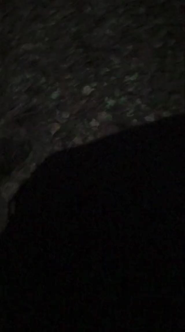 turn your brightness up. I love cruising