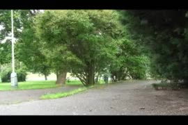 webmFlipbook_225k_35495