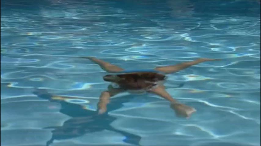 bikini celebrity jennifer garner wet gif