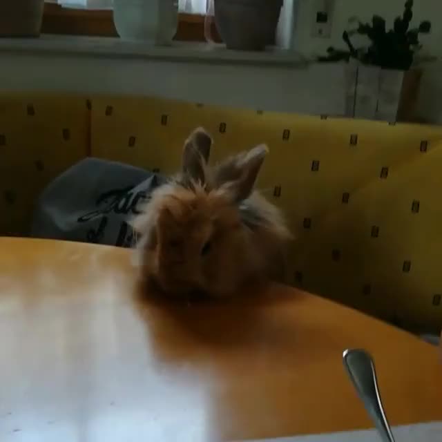 Lunch time, bon appétit ?