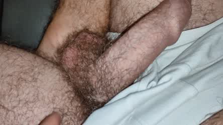 Who's having a good sniff after some rubbing?