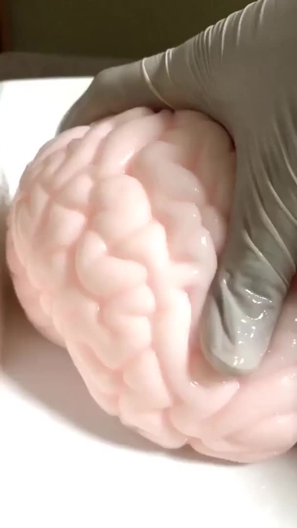Sexy Brain