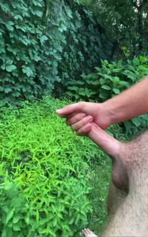Just adding some seed to the garden