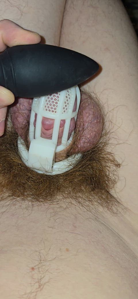chastity femdom gay masturbating sissy twink gif