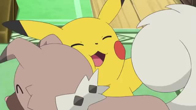 Pikachu & Rockruff (SM002)