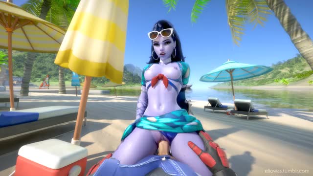 Widowmaker & Soldier