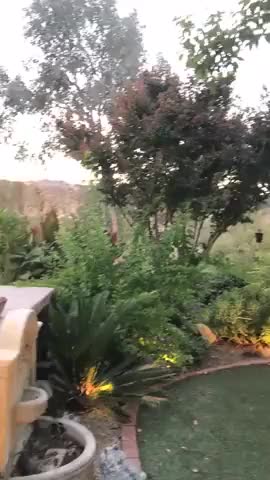A Wild Mia Malkova Appears!