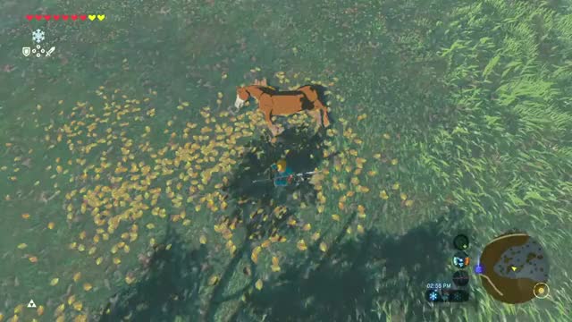 gif