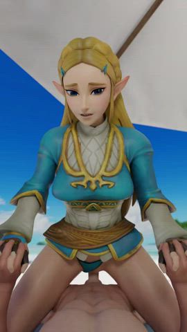 animation beach clothed elf fantasy outdoor princess zelda riding sex gif