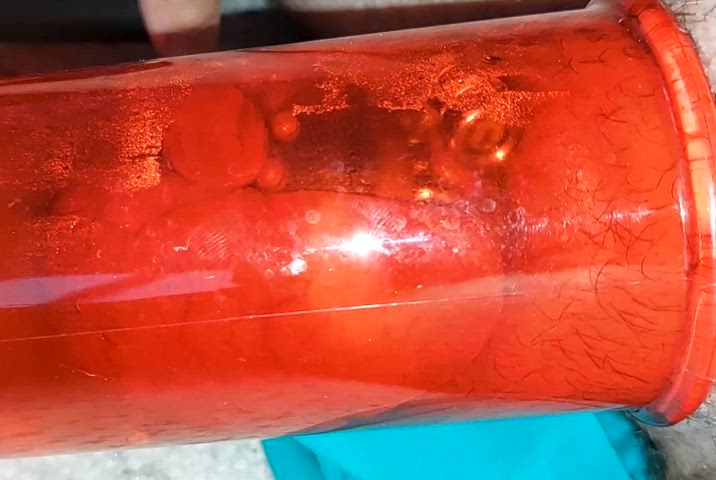 chastity clit pump penis pump sissy sissy slut pumped pussy gif
