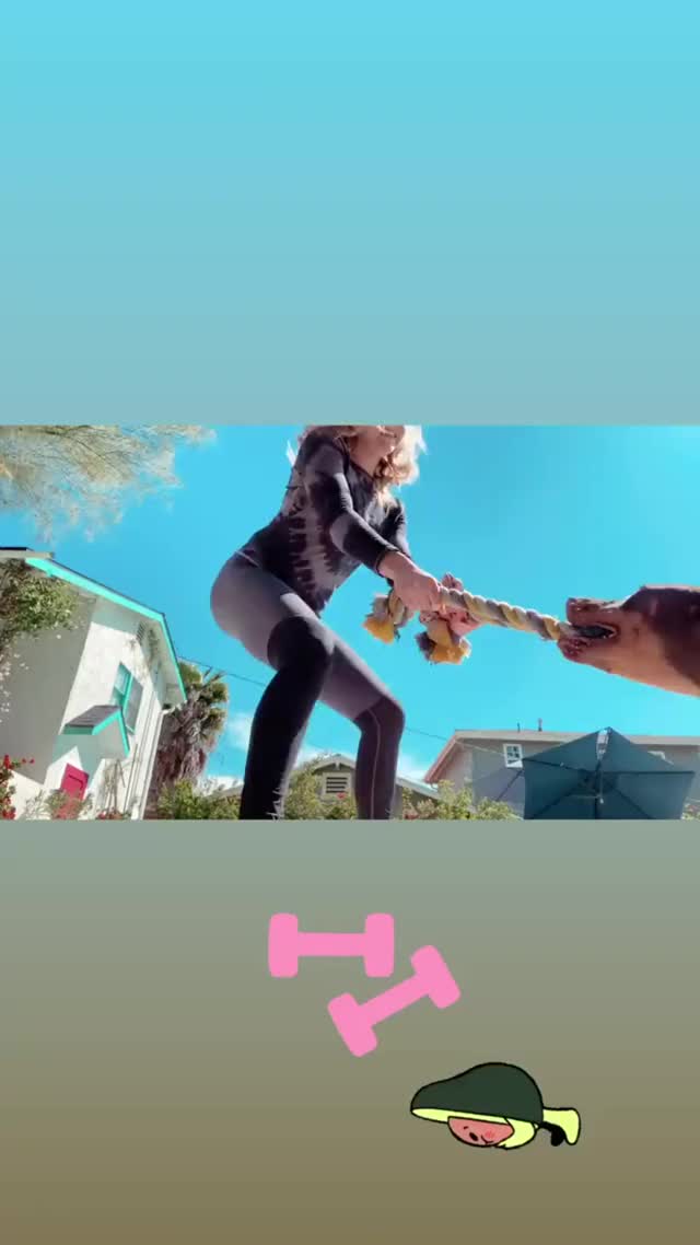  gif