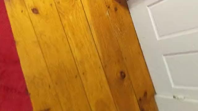 Anal Dildo gif