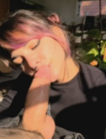 blowjob dontslutshame pornstar gif