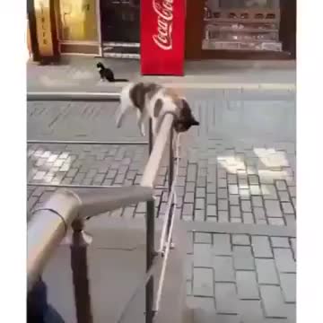 I'm just gonna chill here for a bit