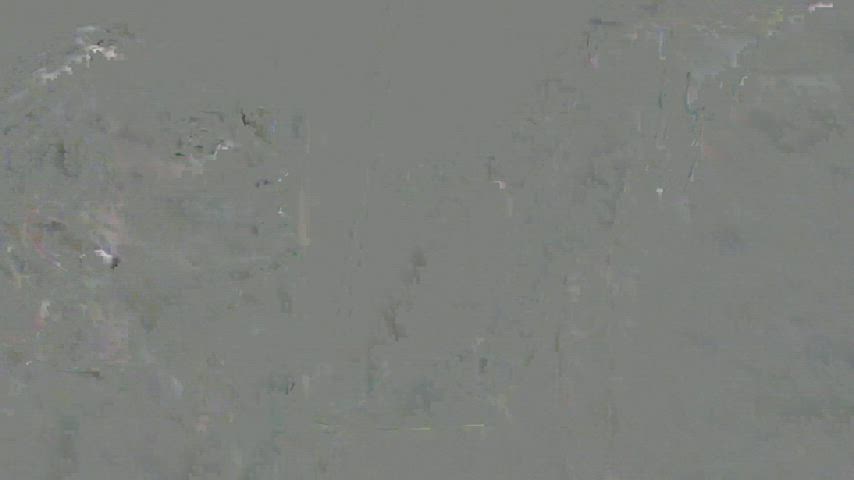 Blonde Blowjob Outdoor gif