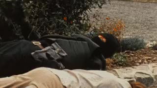 BAD TASTE 11