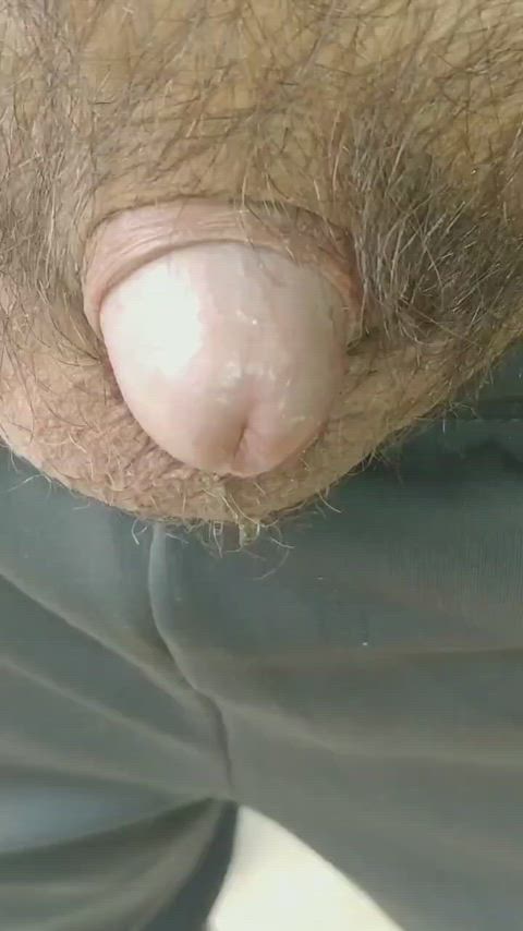 foreskin peeing pissing small dick gif