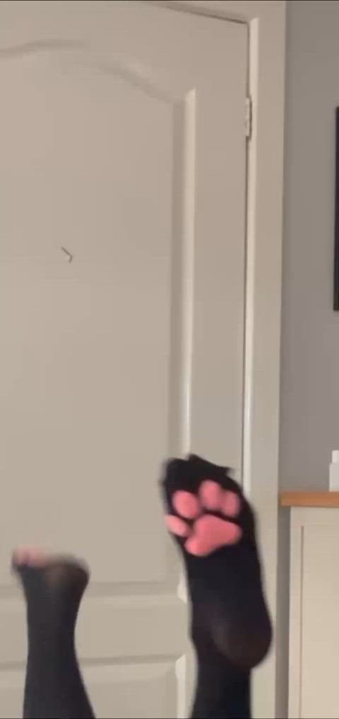 PUPPY HAS TOE BEANS YAYYYYYY