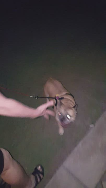 Blonde Public Thong gif