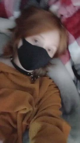 Mommy wasn't home when I took this. . am I cute?? :&gt; 🧡