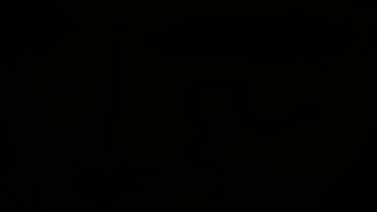 Anal Hardcore Pornstar gif