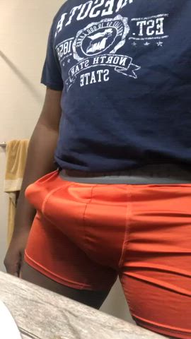 bbc big dick underwear gif