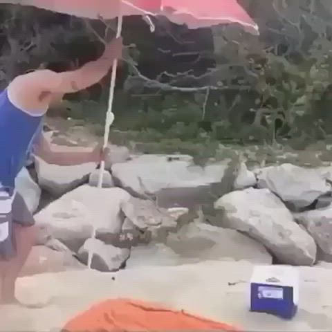Big Dick Blowjob NSFW gif