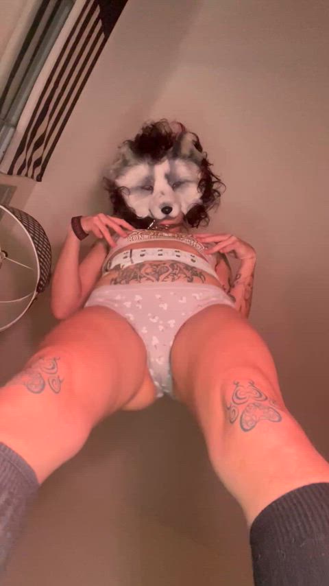 ass furry petplay gif
