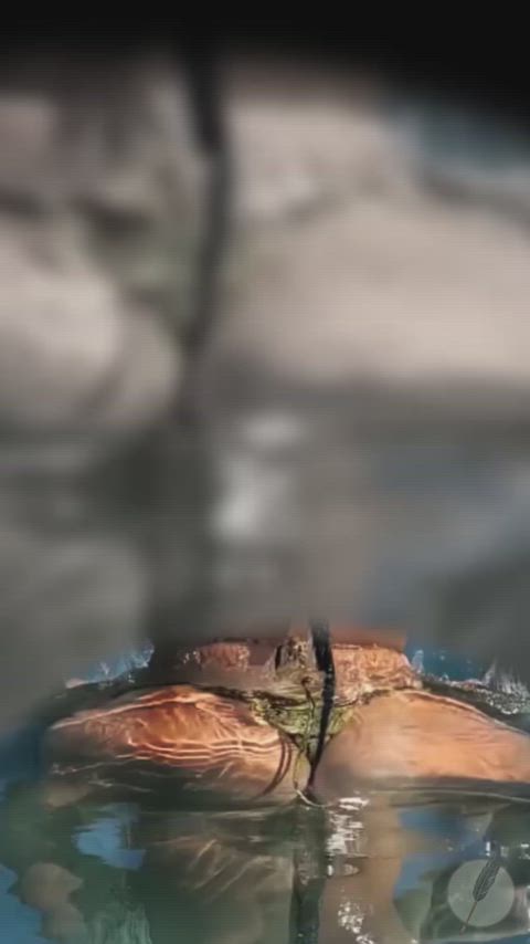 big ass erotica exquisite erotic lesbian gif