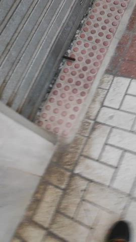 Cock Exposed Public gif