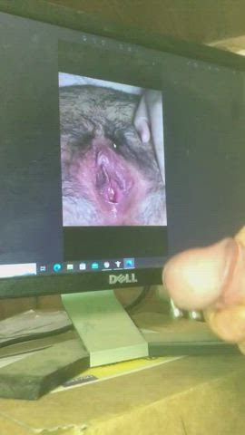 cock cumshot tribute gif