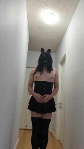 catgirl girlcock non-binary gif