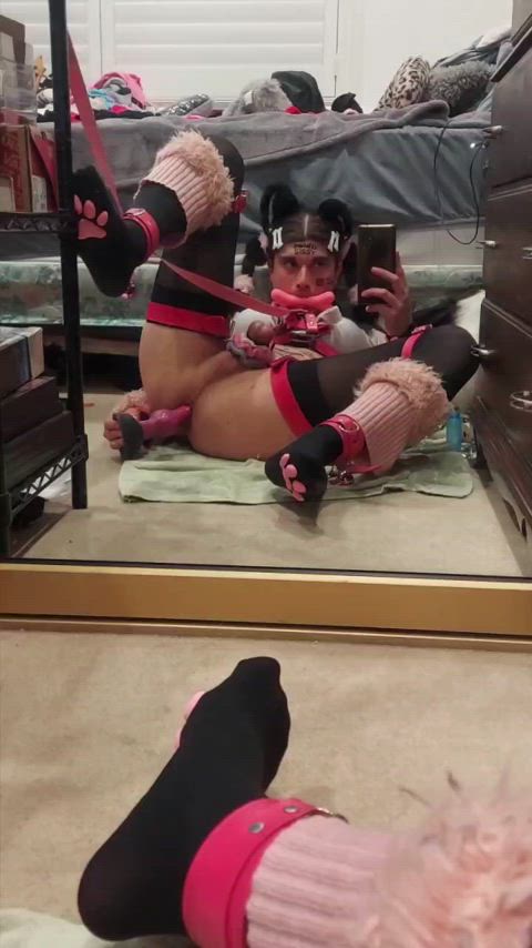 bad dragon bondage chastity humiliation knot leash petplay puppy sissy sissy slut