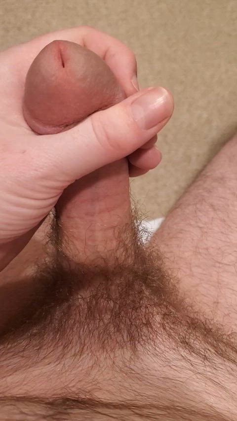 hairy hairy cock pov gif