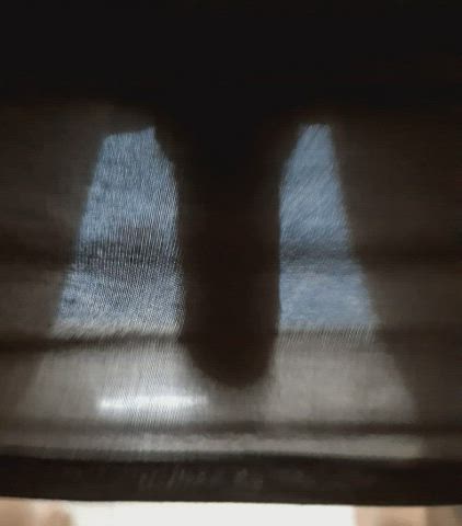 Big Dick Funny Porn See Through Clothing Sheer Clothes Skirt gif