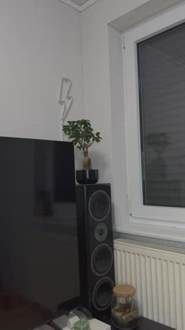 who would fuck me at the window until the whole city hears us? 🤫